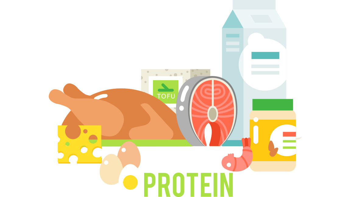 different types of protein
