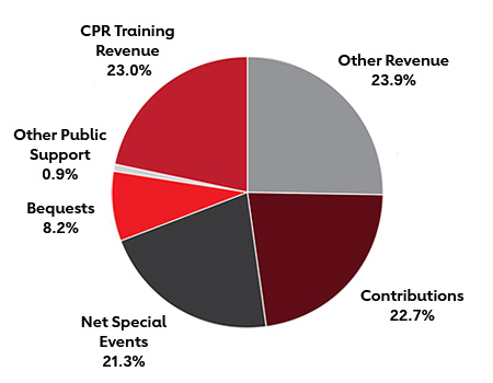 Public Support and Other Revenue Pie Chart