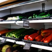 Vegtable Bin in a store