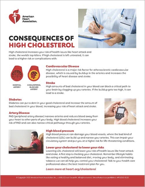 Consequences of high cholesterol infographic