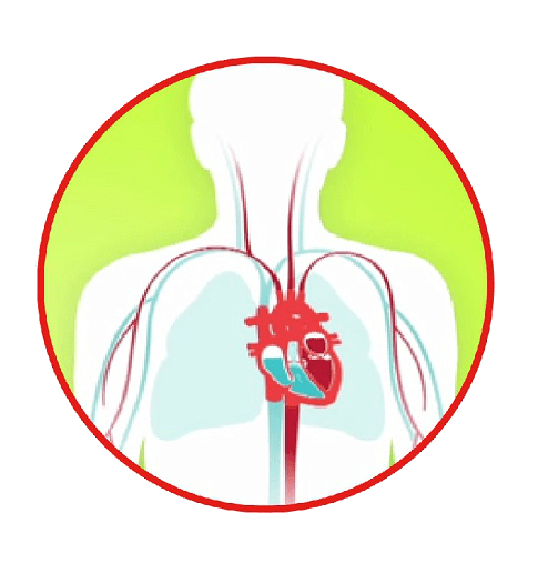 Heart failure diagram