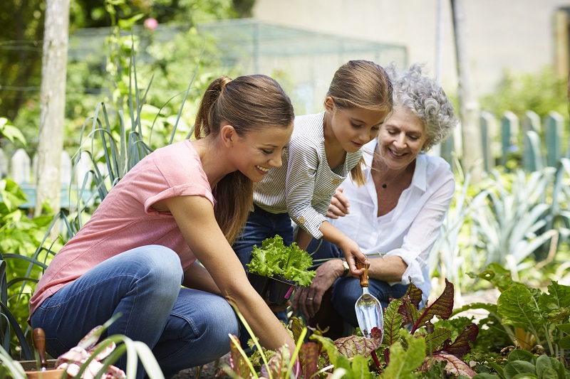 Three generation females gardening together in yard