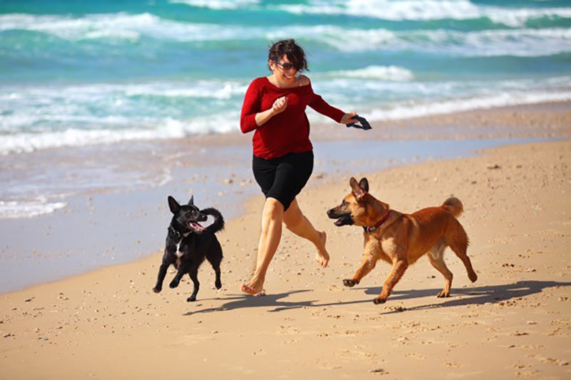 dogs woman running beach dogs woman running beach