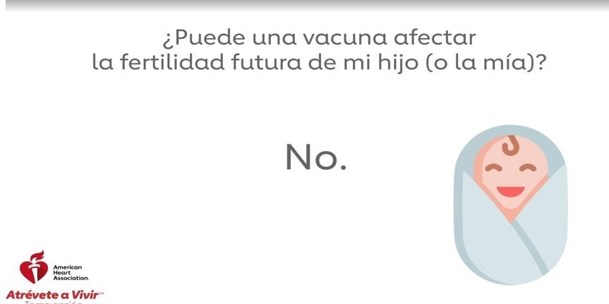 ¿Puede una vacuna afectar la fertilidad futura de mi hijo (o la mía)? No.