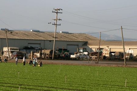 Farm workers in a field in Salinas, California