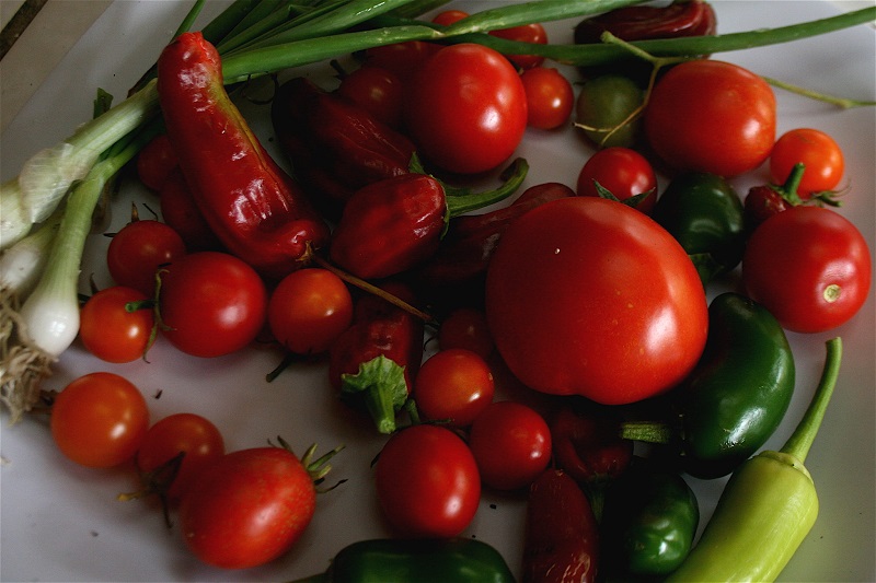 A spread of uncooked peppers, tomatoes, and green onions