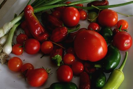 A spread of uncooked peppers, tomatoes, and green onions