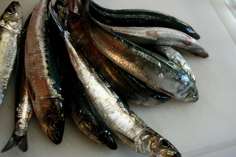 Fresh fish on a white surface